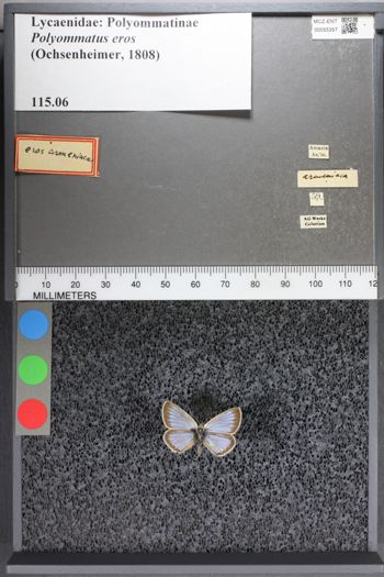 Media type: image;   Entomology 55357